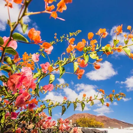 Beautiful 2 Bed With Large Pool Casa Manana *