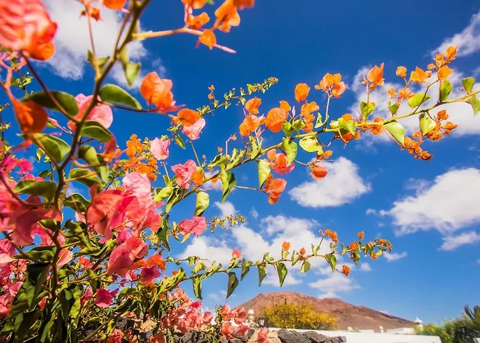 Beautiful 2 Bed With Large Pool Casa Manana *